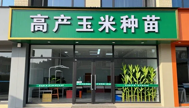 种苗供应中常见问题及应对策略